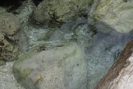2018-05-12-19-selvaggio-blu, alpes-aventure-selvaggio-blu-su-tesaru-ololbizzi-2018-05-16-059