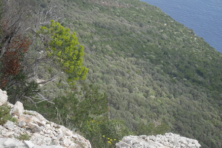 2018-05-12-19-selvaggio-blu, alpes-aventure-selvaggio-blu-ololbizzi-cala-sisine-2018-05-17-020