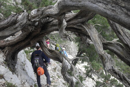 2018-05-12-19-selvaggio-blu, alpes-aventure-selvaggio-blu-ololbizzi-cala-sisine-2018-05-17-035