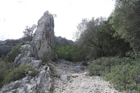2018-05-12-19-selvaggio-blu, alpes-aventure-selvaggio-blu-ololbizzi-cala-sisine-2018-05-17-053
