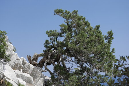 2018-05-12-19-selvaggio-blu, alpes-aventure-selvaggio-blu-ololbizzi-cala-sisine-2018-05-17-057