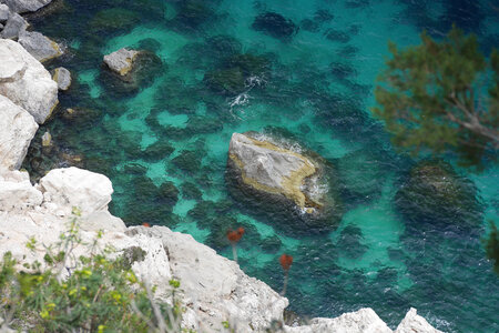 2018-05-12-19-selvaggio-blu, alpes-aventure-selvaggio-blu-ololbizzi-cala-sisine-2018-05-17-062
