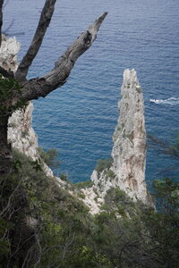 2018-05-12-19-selvaggio-blu, alpes-aventure-selvaggio-blu-ololbizzi-cala-sisine-2018-05-17-101