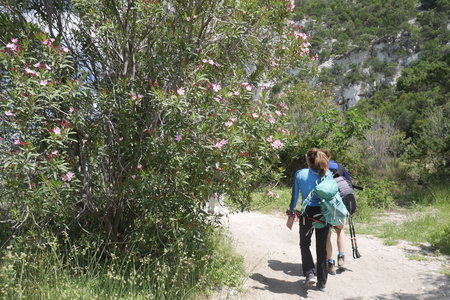 2018-05-12-19-selvaggio-blu, alpes-aventure-selvaggio-blu-cala-sisine-cala-luna-2018-05-18-104