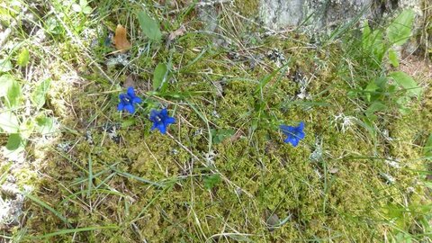 Vendredi AM 25/05/2018, _copie-0_P1040762