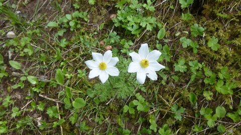 Vendredi AM 25/05/2018, _copie-0_P1040774