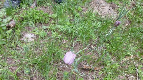 Vendredi AM 25/05/2018, P1040796