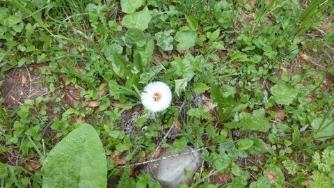 Vendredi AM 25/05/2018, P1040798