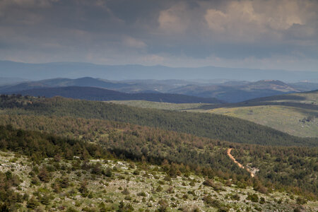 Causse de Méjeans, IMG_2029