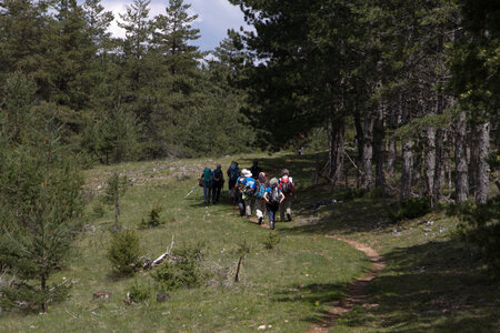 Causse de Méjeans, IMG_2065