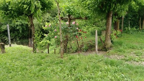 Preignac 26/05/18, P_20180526_165613