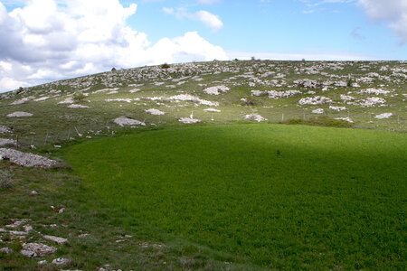 Causse de Méjeans, IMG_2167