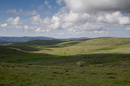 Causse de Méjeans, IMG_2168