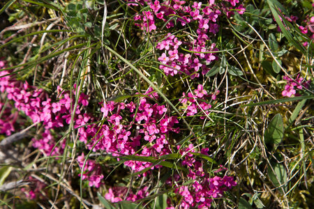 Causse de Méjeans, IMG_2177