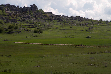 Causse de Méjeans, IMG_2184