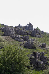 Causse de Méjeans, IMG_2188