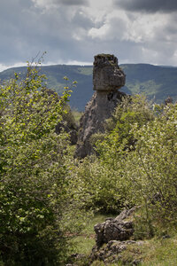 Causse de Méjeans, IMG_2193