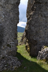 Causse de Méjeans, IMG_2198