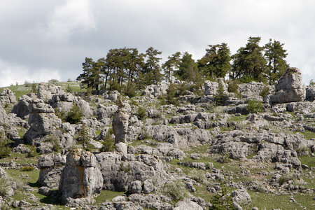 Causse de Méjeans, IMG_2201
