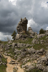Causse de Méjeans, IMG_2204