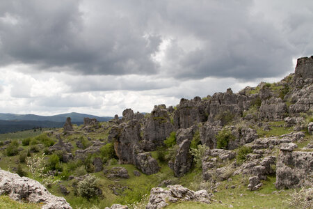 Causse de Méjeans, IMG_2205