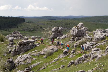 Causse de Méjeans, IMG_2211