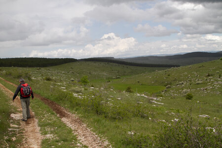 Causse de Méjeans, IMG_2217