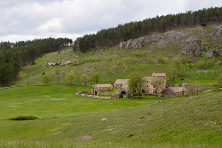 Causse de Méjeans, IMG_2218