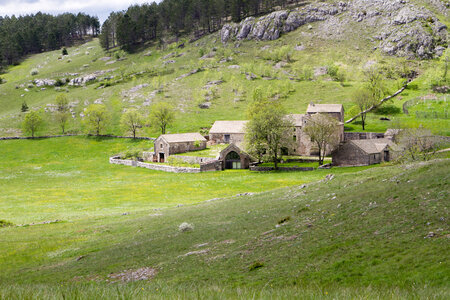 Causse de Méjeans, IMG_2220