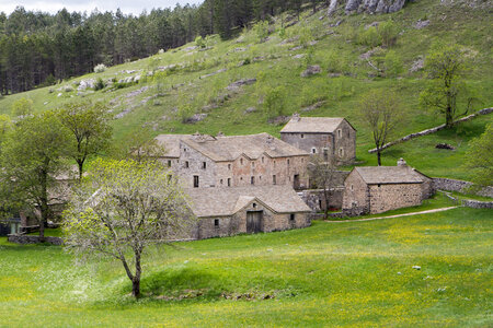 Causse de Méjeans, IMG_2221