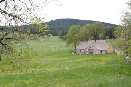 Causse de Méjeans, IMG_2222