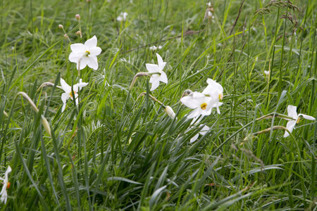 Causse de Méjeans, IMG_2232