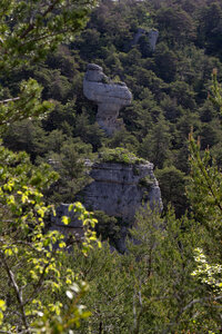Causse de Méjeans, IMG_2259