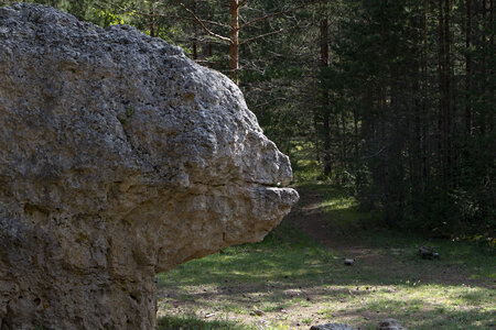 Causse de Méjeans, IMG_2261