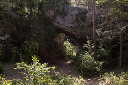 Causse de Méjeans, IMG_2265