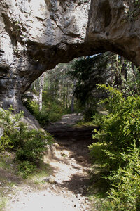 Causse de Méjeans, IMG_2269