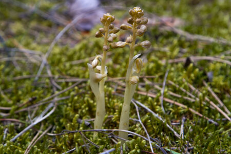 Causse de Méjeans, IMG_2281