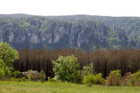 Causse de Méjeans, IMG_2286