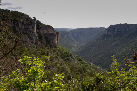 Causse de Méjeans, IMG_2287