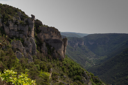 Causse de Méjeans, IMG_2288