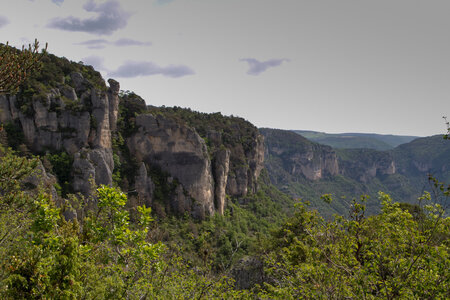 Causse de Méjeans, IMG_2289