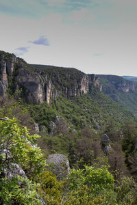 Causse de Méjeans, IMG_2294