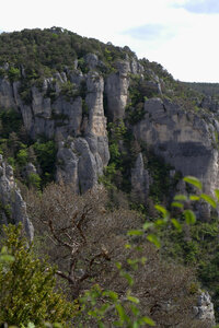 Causse de Méjeans, IMG_2295