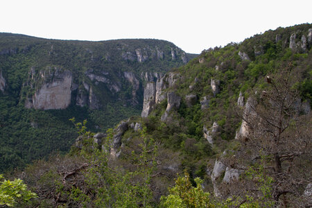 Causse de Méjeans, IMG_2296