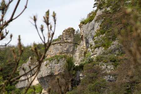 Causse de Méjeans, IMG_2300