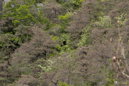 Causse de Méjeans, IMG_2320