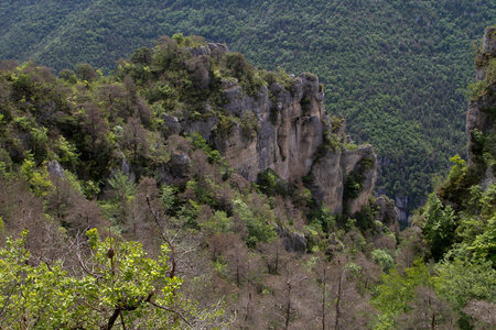 Causse de Méjeans, IMG_2329