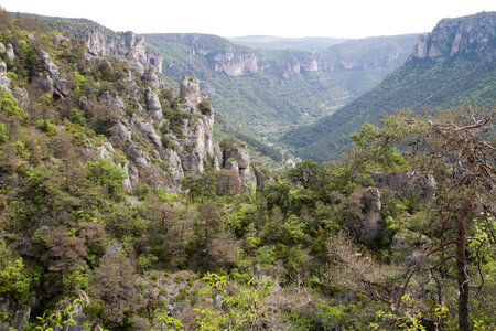 Causse de Méjeans, IMG_2331