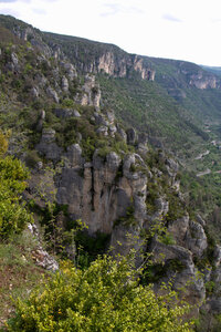 Causse de Méjeans, IMG_2332