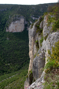 Causse de Méjeans, IMG_2334